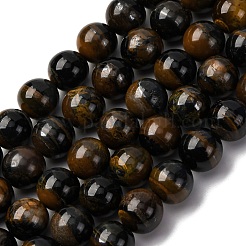 Dyed Natural Blue Tiger Iron Beads Strands&nbsp;G-G286-A02-10mm
