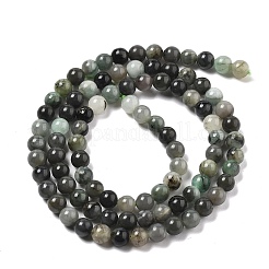 Synthetic Emerald Beads Strands&nbsp;G-A262-A03-4mm-1