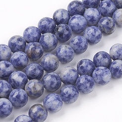 Natural Blue Spot Jasper Bead Strands&nbsp;G-R193-15-6mm