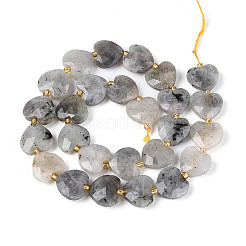 Natural Labradorite Beads Strands&nbsp;LS-G-P592-B14-01