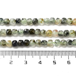 Natural Prehnite Beads Strands&nbsp;LS-G-B088-E16-04