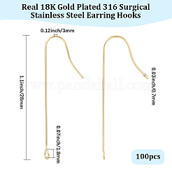 100Pcs 316 Surgical Stainless Steel Earring Hooks&nbsp;STAS-BBC0009-59A