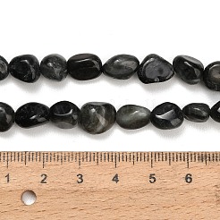 Natural Eagle Eye Stone Beads Strands&nbsp;G-D108-A02-03