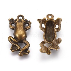 Metal Alloy Pendants&nbsp;X-PALLOY-A15328-AB-NF