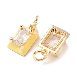 Brass Micro Pave Clear Cubic Zirconia with Enamel Charms&nbsp;CU-K002-51G-M