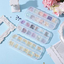 Ocean Theme 3 Sets 3 Styles Abalone Shell/Paua Shell/Alloy Chips&nbsp;MRMJ-CA0001-52