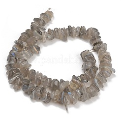 Natural Labradorite Beads Strands&nbsp;GG-CBAC61B-C06-01