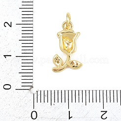 Valentine's Day Brass Micro Pave Clear Cubic Zirconia Pendants&nbsp;KK-D258-43G-02