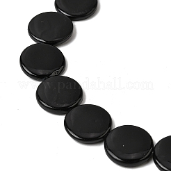 Natural Freshwater Shell Beads Strands&nbsp;SHEL-A006-01A