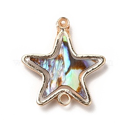 Rack Plating Brass Enamel Connector Charms&nbsp;X-KK-K252-11G-02