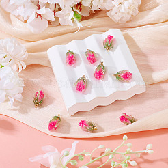 10Pcs Transparent Acrylic Pendants&nbsp;SACR-TA0001-66A
