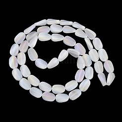 Electroplate Glass Beads Strands&nbsp;EGLA-C009-01B-AB01