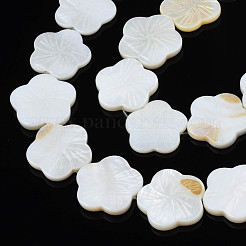 Natural Freshwater Shell Beads Strands&nbsp;SHEL-N026-188