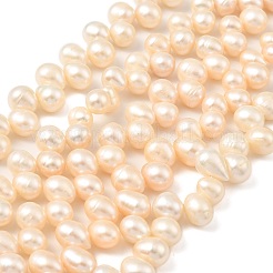 Natural Cultured Freshwater Pearl Beads Strands&nbsp;PEAR-I007-04E-02B