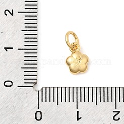 Brass Flower Charms&nbsp;KK-I360-058G