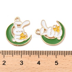 Alloy Enamel Pendants&nbsp;ENAM-N054-90G