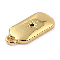 Brass Micro Pave Cubic Zirconia Charms&nbsp;ZIRC-I054-12G-05