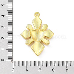 Alloy Enamel Pendants&nbsp;X-ENAM-P252-07G
