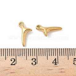 304 Stainless Steel Charms&nbsp;STAS-F320-12G