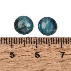 Abalone Shell/Paua Shell Cabochons&nbsp;SSHEL-K003-8MM