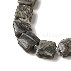 Natural Map Stone Beads Strands&nbsp;G-L596-A03-01