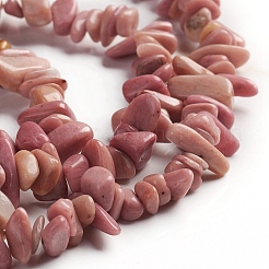 Natural Rhodonite Beads Strands&nbsp;G-D0002-C45