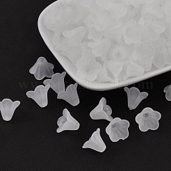 Frosted Acrylic Beads&nbsp;PL692-13