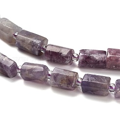 Natural Lepidolite/Purple Mica Stone Beads Strands&nbsp;G-K245-I16-01