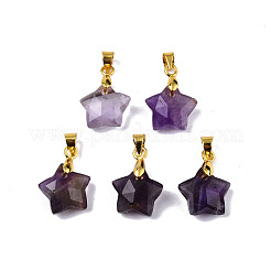 Natural Amethyst Charms&nbsp;G-N326-142-03