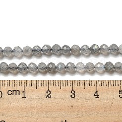Faceted Round Natural Labradorite Bead Strands&nbsp;G-I156-03-4mm
