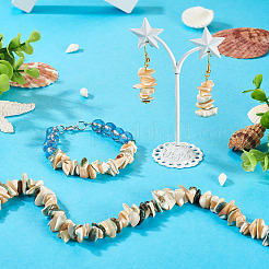 1 Strand Natural Seashell Shell Beads Strands&nbsp;SSHEL-TA0001-12