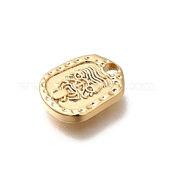 Brass Charms&nbsp;KK-K378-64G