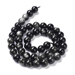 Natural Silver Obsidian Beads Strands&nbsp;G-D083-01B
