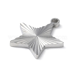 Non-Tarnish 304 Stainless Steel Pendants&nbsp;STAS-D025-04P-02