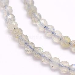 Natural Labradorite Beads Strands&nbsp;G-F509-03-3mm