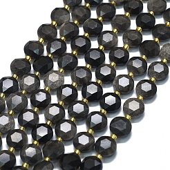 Natural Silver Obsidian Beads Strands&nbsp;G-C116-A106-01