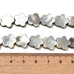 Natural Black Lip Shell Beads Strands&nbsp;SHEL-M021-02A
