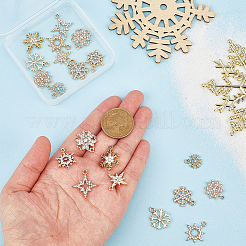60Pcs 10 Styles Alloy Rhinestone Pendants&nbsp;FIND-PH0028-36G