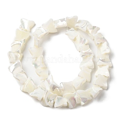 Natural Trochid Shell/Trochus Shell Beads Strands&nbsp;SSHEL-R145-02