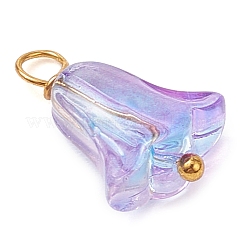 20Pcs Glass Beads Pendants&nbsp;PALLOY-JF03103