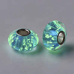 Handmade Lampwork European Beads&nbsp;X-LAMP-S193-006