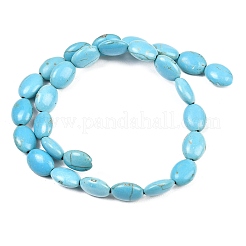 Dyed Synthetical Turquoise Oval Bead Strand&nbsp;G-P083-89G