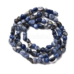 Natural Sodalite Beads Strands&nbsp;G-I389-A08