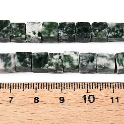 Natural Green Spot Jasper Beads Strands&nbsp;G-T139-6x6-23A