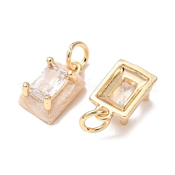 Brass Micro Pave Clear Cubic Zirconia with Enamel Charms&nbsp;CU-K002-51G-F