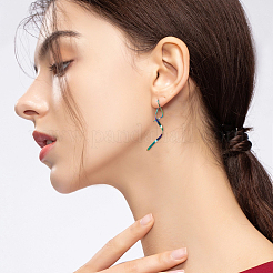 5 Pairs 5 Colors Wave Shape 304 Stainless Steel Dangle Earrings&nbsp;EJEW-HS0001-33