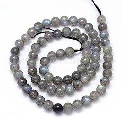 Natural Labradorite Round Bead Strands&nbsp;LS-G-O087-05-6mm