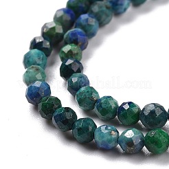 Natural Chrysocolla & Lapis Lazuli Beads Strands&nbsp;X-G-D463-08C