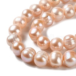Natural Cultured Freshwater Pearl Beads Strands&nbsp;PEAR-E018-30