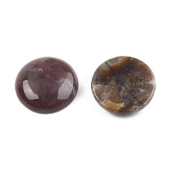 Natural Indian Agate Cabochons&nbsp;G-TAC0010-02D